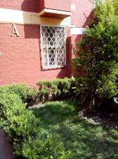 Casa en condominio en Renta en Coyoacán, Distrito Federal  - Foto 15
