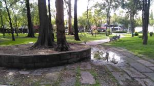 Casa sola en Renta en Coyoacán, Distrito Federal  - Foto 16