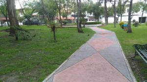 Casa sola en Renta en Coyoacán, Distrito Federal  - Foto 31